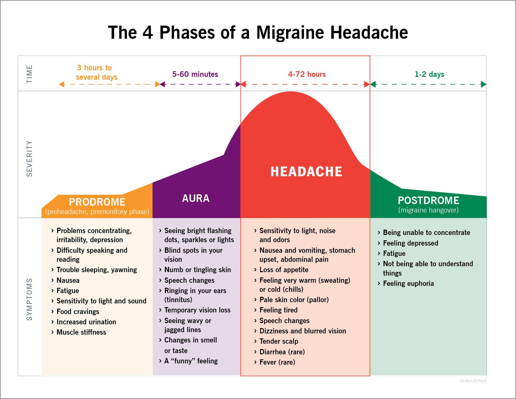 偏头痛的4个阶段示意图:前驱，先兆，头痛，后驱