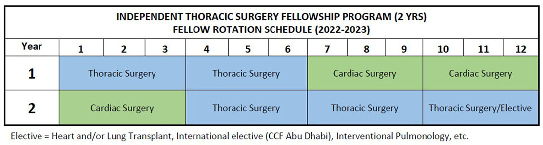 独立胸外科奖学金计划:研究员轮转时间表(2022-2023)