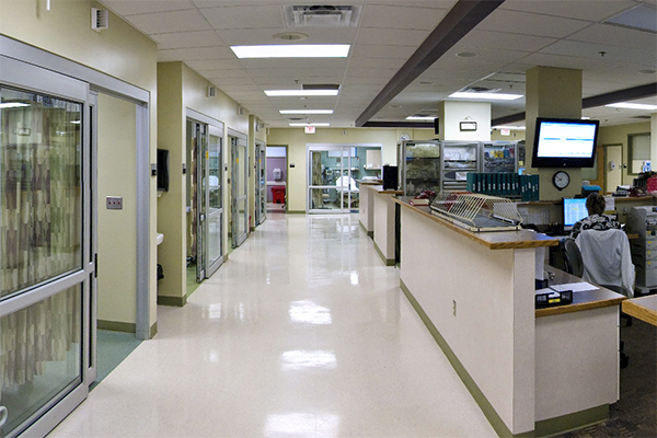 洛迪医院走廊的图片