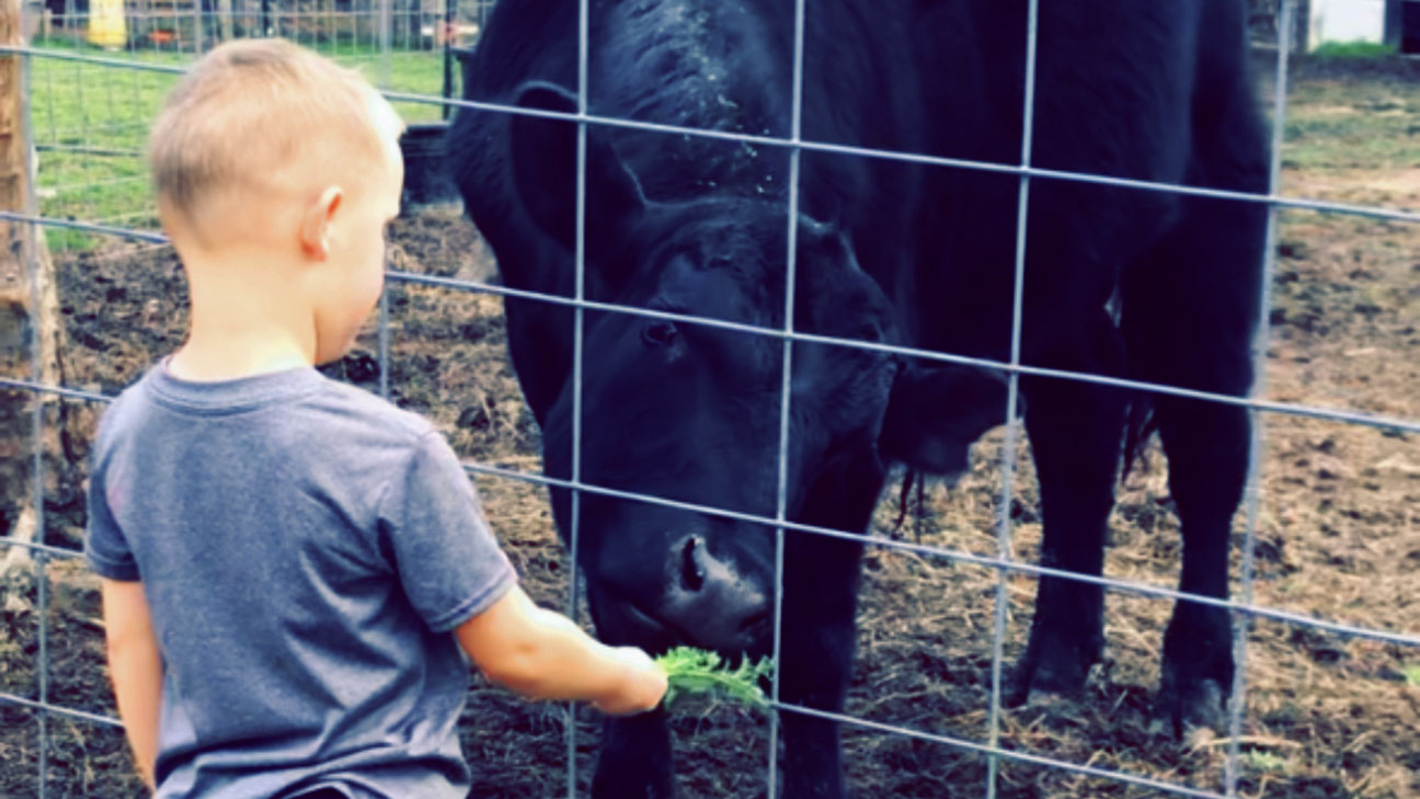 Bryar和家里两岁大的公牛Cash。(来源:Caleb和Madeline Brooks)